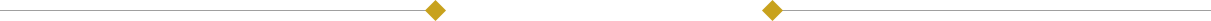 朗格售后维修服务中心点